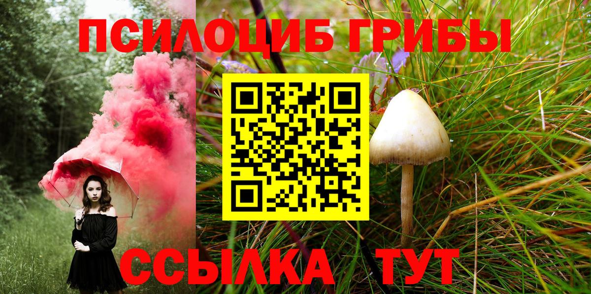 Галлюциногенные грибы Psilocybe Людиново